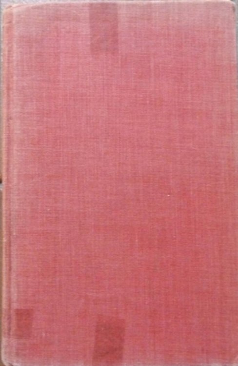 Image for The Steadfast Man: A Life of St Patrick The Steadfast Man: A Life of St Patrick