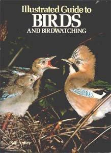Illustrated Guide to Birds and Bird Watching (Kingfisher)