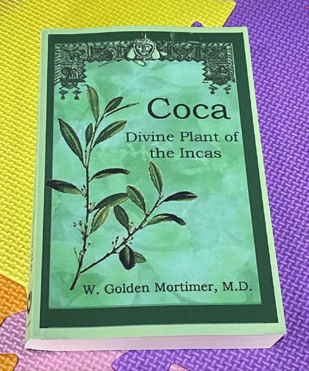 Coca: Divine Plant of the Incas