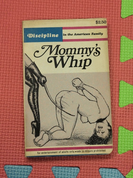 Mommy's Whip: Discipline in the American Family