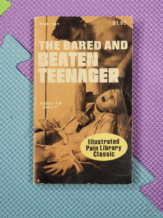 The Bared And Beaten Teenager