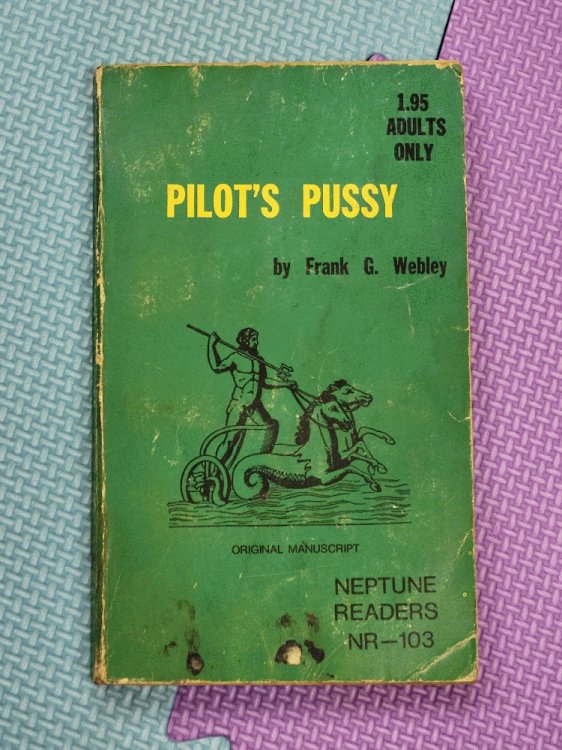 Pilot's Pussy