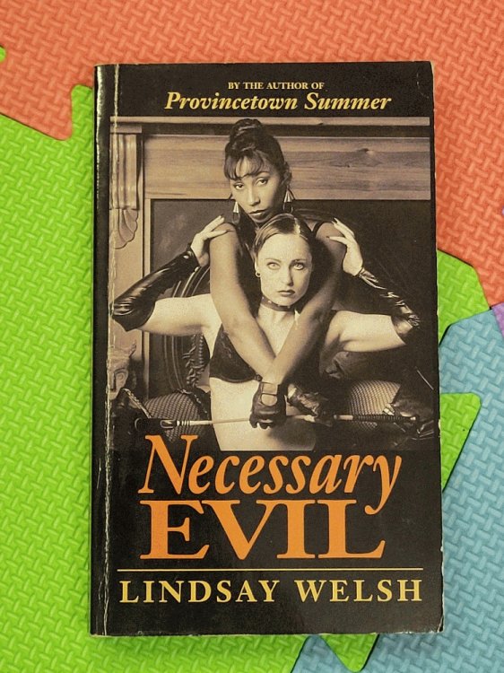 Necessary Evil