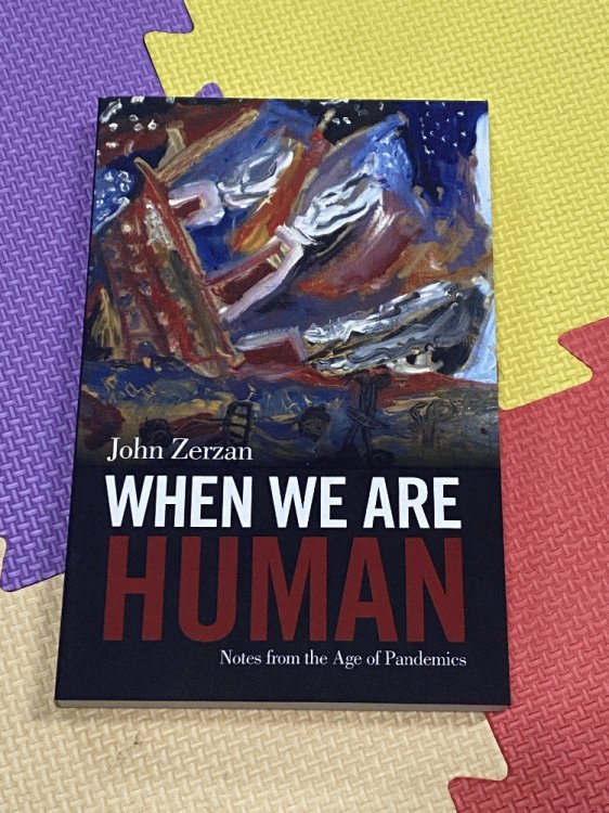 When We Are Human: Notes from the Age of Pandemics