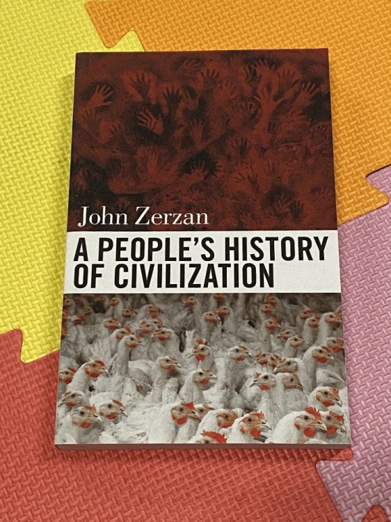 A People's History of Civilization