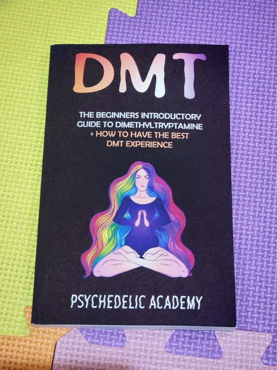 DMT: The Beginners Introductory Guide