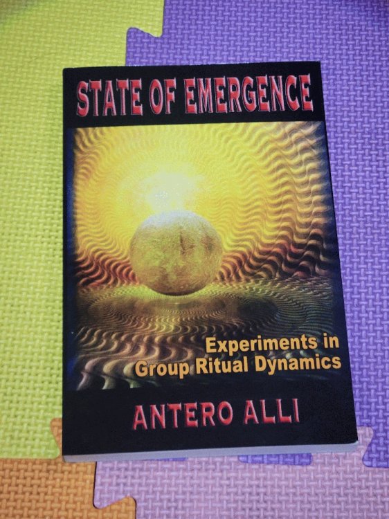 State Of Emergence: Experiments In Group Ritual Dynamics