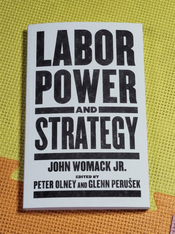 Labor Power And Strategy