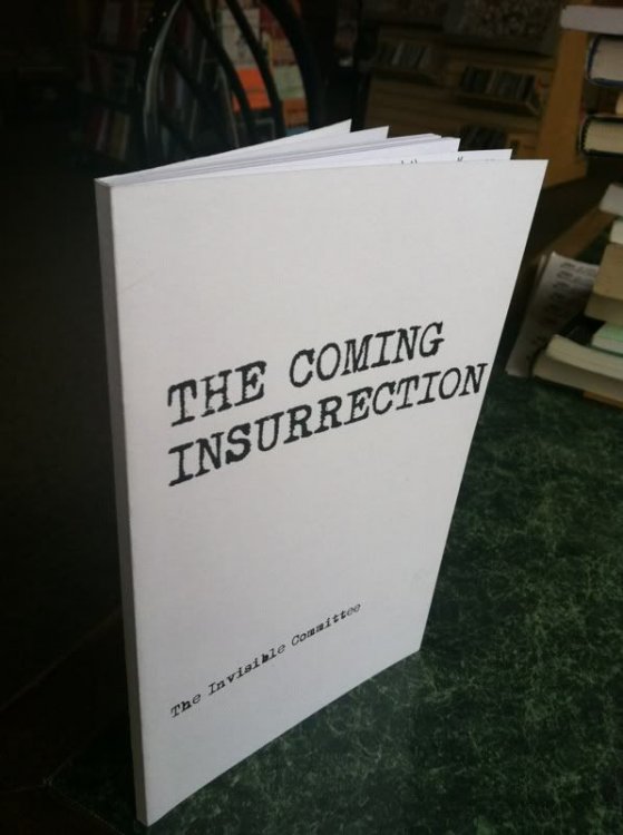 The Coming Insurrection