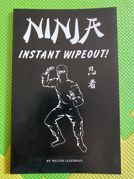 Ninja: Instant Wipeout!