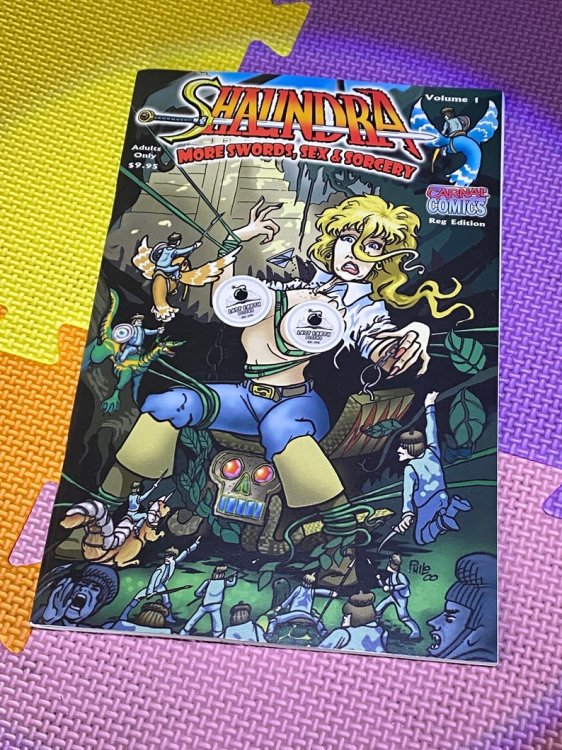 Shaundra: More Sex, Swords & Sorcery (Regular Cover)