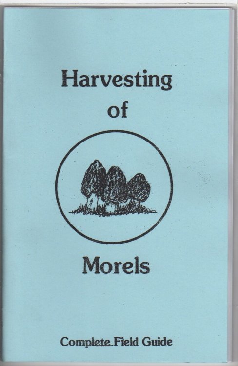 Harvesting of Morels: Complete Field Guide