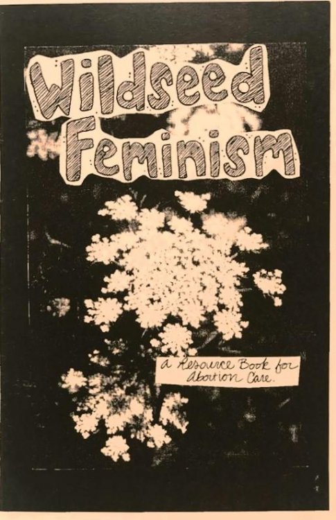 Wildseed Feminism #1: A Resource Book for Abortion Care