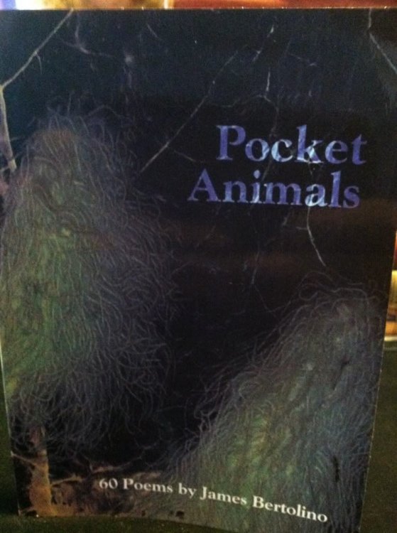 Pocket Animals