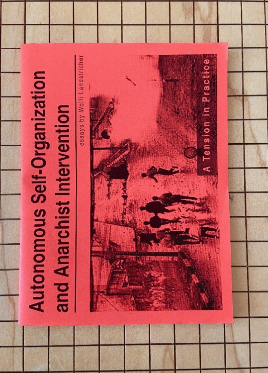 Autonomous Self-Organization & Anarchist Intervention