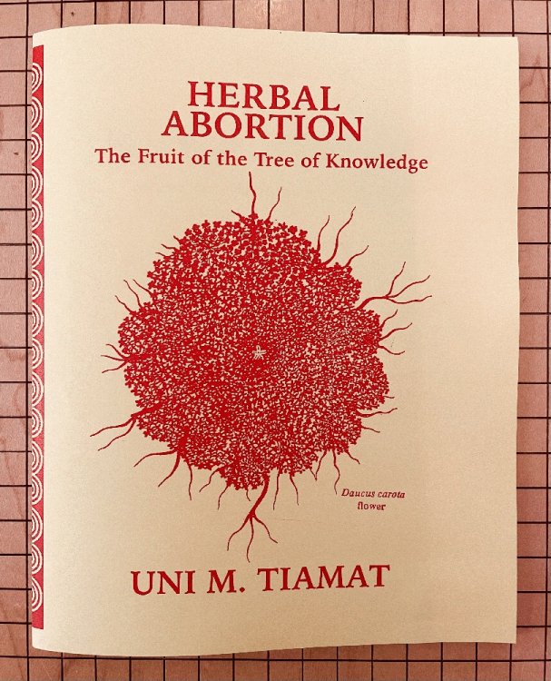 Herbal Abortion: The Fruit of the Tree of Knowledge