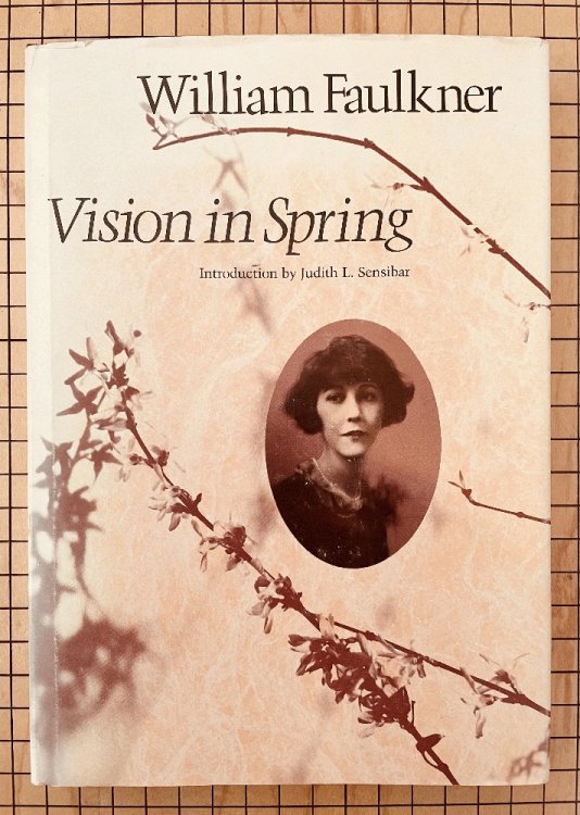 Vision in Spring