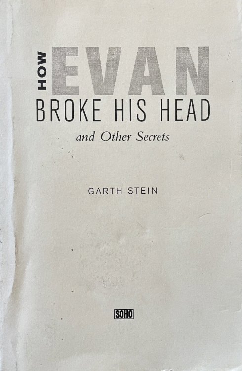 How Evan Broke His Head and Other Secrets