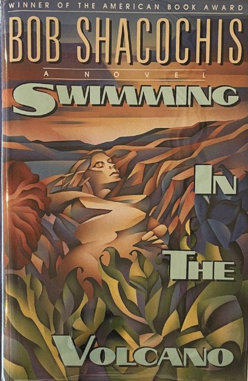 Swimming in the Volcano: A Novel