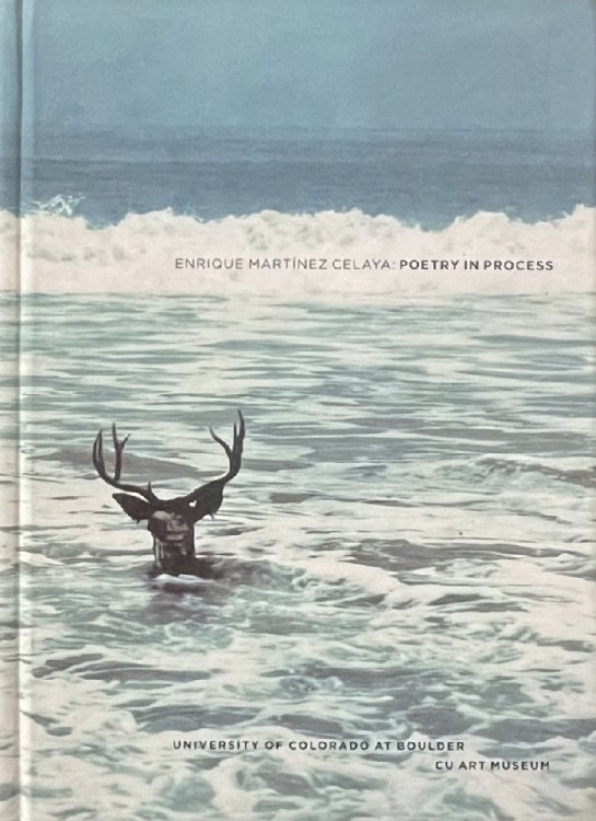 Enrique Martinez Celaya: Poetry in Process
