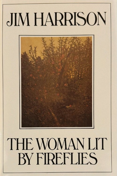 The Woman Lit by Fireflies