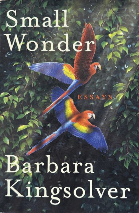 Small Wonder: Essays