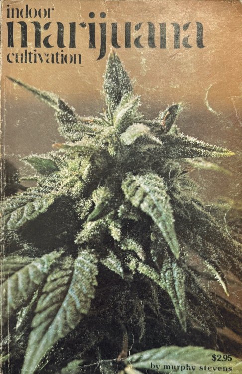 Indoor Marijuana Cultivation
