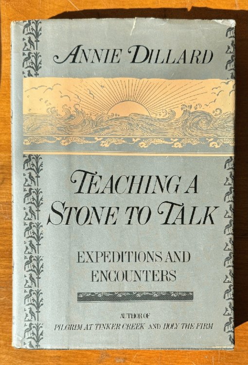 Teaching a Stone to Talk