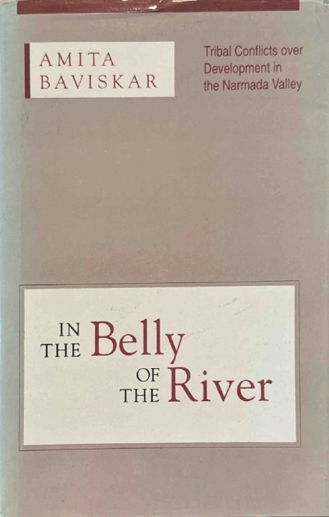 In the Belly of the River: Tribal Conflicts over Development in the Narmada Valley (Studies in Social Ecology and Environmental History)