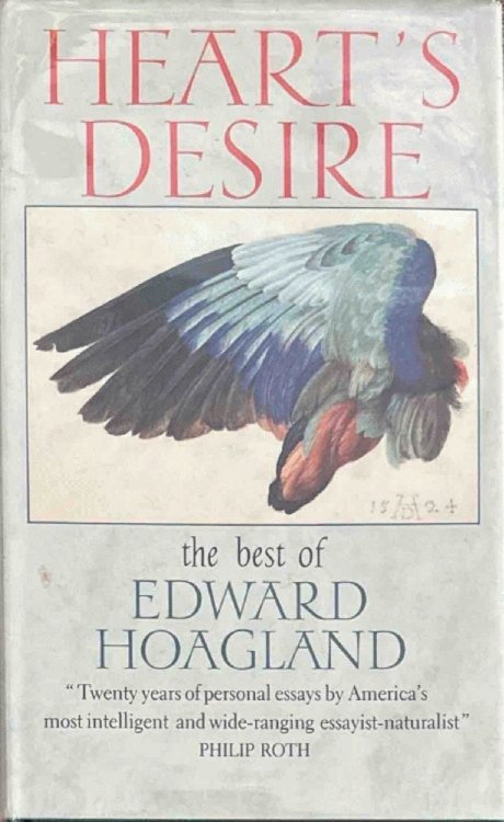 Heart's Desire