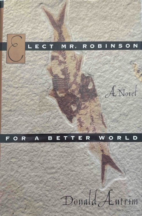 Elect Mr. Robinson for a Better World: A Novel