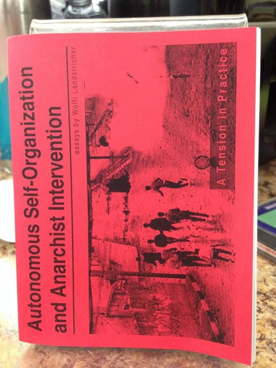 Autonomous Self-Organization by Wolfi Landstreicher