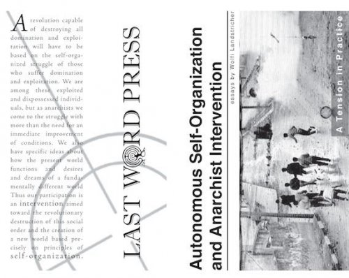 Autonomous Self-Organization & Anarchist Intervention
