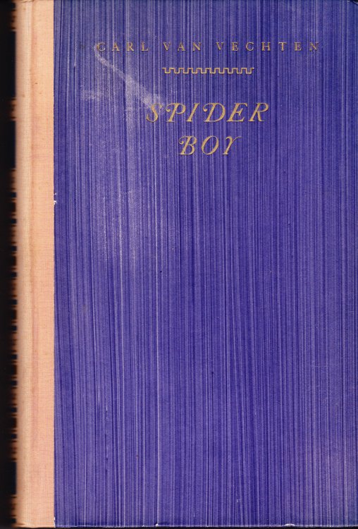 Spider Boy. a scenario for a moving Picture