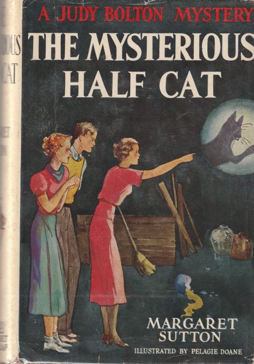 The Mysterious Half Cat