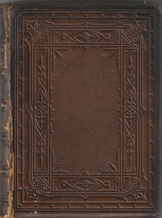 Aurora Leigh, and Other Poems