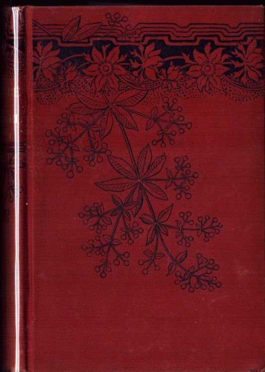 The Face of Rosenfel