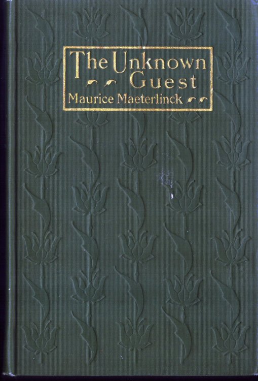 The Unknown Guest