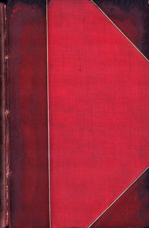 Etruscan Bologna: A Study