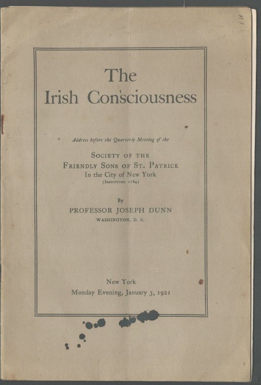 The Irish Consciousness