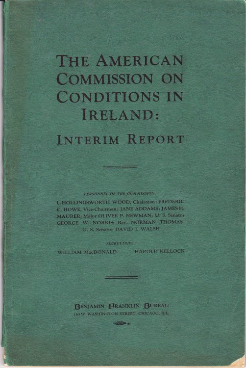 The American Commission on Conditions in Ireland: Interim Report