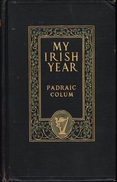 My Irish Year