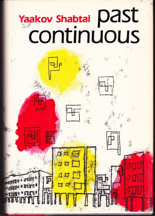 Past Continuous