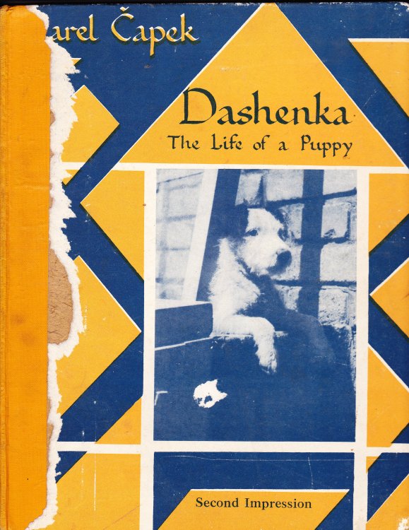 Dashenka, or the Life of a Puppy. Written Drawn Photographed and Endured By Karel Capek