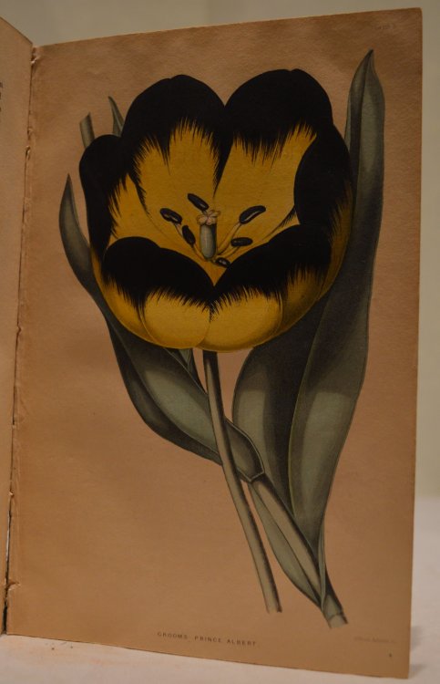 The Florist's Journal for the year 1840.