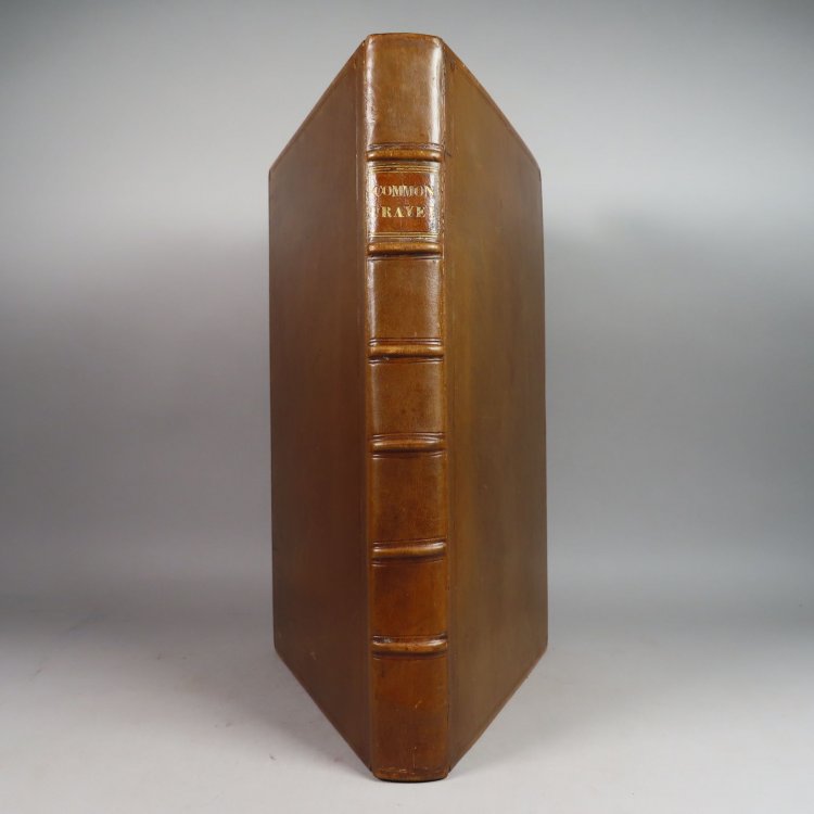 The Book of Common Prayer and Administration of The Sacraments: and other rites and ceremonies of the church according to the use of the Church of England : together with The psalter, or Psalms of David, pointed as they are to be sung or said in churches : and the form and manner of making, ordainin