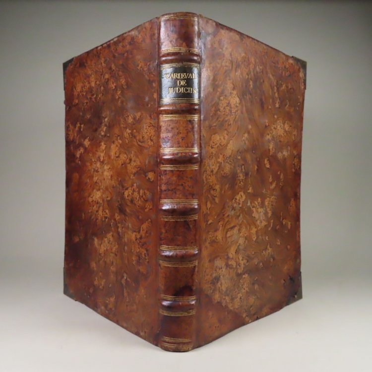 Hispani, Partritii baecensis, Philosophi, Theologi, & Jurisconsulti, olim in Baecensi Adademia ingenuarum Artium Professoris: Post in Sacro supremo Justitiae Consilio Regni Neapolitani Regii Consiliarii. Disputationes Juris Variae, Ad Interpreationem Regiarum Legum Regni Castellae, & illis similium,