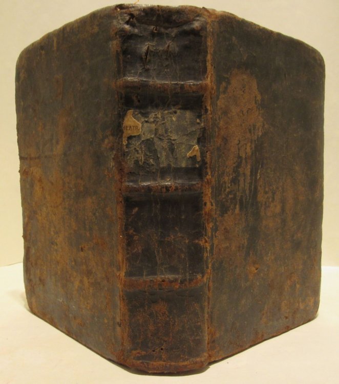 Theatro del mundo y de el tiempo compuesto por Ioan Paulo Gallucio Salo[n]ese; traducido de lengua latina en castellana y anadido por Miguel Perez (Theatro del mundo y de el tiempo compuesto por Ioan Paulo Gallucio Salo[n]ese; traducido de lengua latina en castellana y a adido por Miguel Perez)