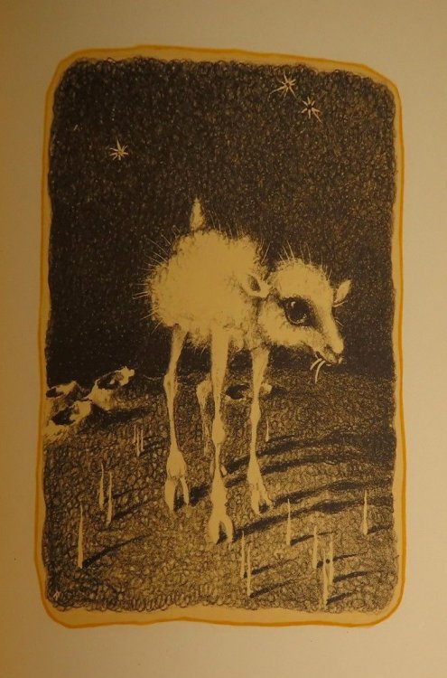 Zwolf Lithographien zu Chr. Morgensterns Grotesken (Zwlf Lithographien zu Chr. Morgensterns Grotesken)
