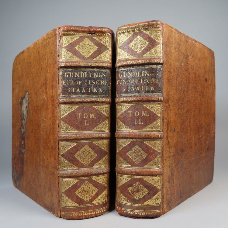 Image for Ausfuhrlicher Discours uber den jetzigen Zustand der Europaischen Staaten. Darinnen von derselben Ursprung, Wachsthum, Macht, Commercien, Reichthum und Schwache, Regierungs-Form, Interesse, Praetensionen und Streitigkeiten, samt dem zwischen ihren Abgesandten furfallenden Ceremoniel deutlich und gru Ausfuhrlicher Discours uber den jetzigen Zustand der Europaischen Staaten. Darinnen von derselben Ursprung, Wachsthum, Macht, Commercien, Reichthum und Schwache, Regierungs-Form, Interesse, Praetensionen und Streitigkeiten, samt dem zwischen ihren Abgesandten furfallenden Ceremoniel deutlich und gru